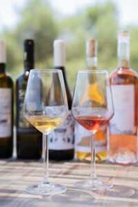 Wine Tasting in Kefalonia | Sarris Winery Kefalonia